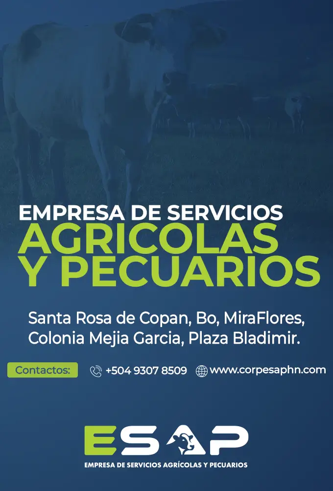 Servicios Agrícolas y Pecuarios Honduras