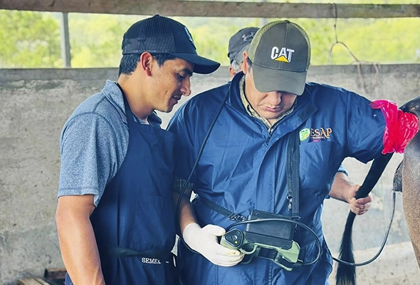 Consultoría técnica