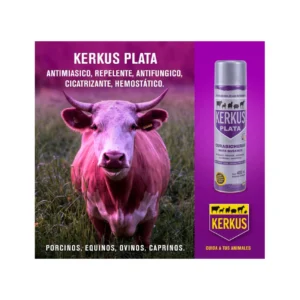 Kerkus Plata