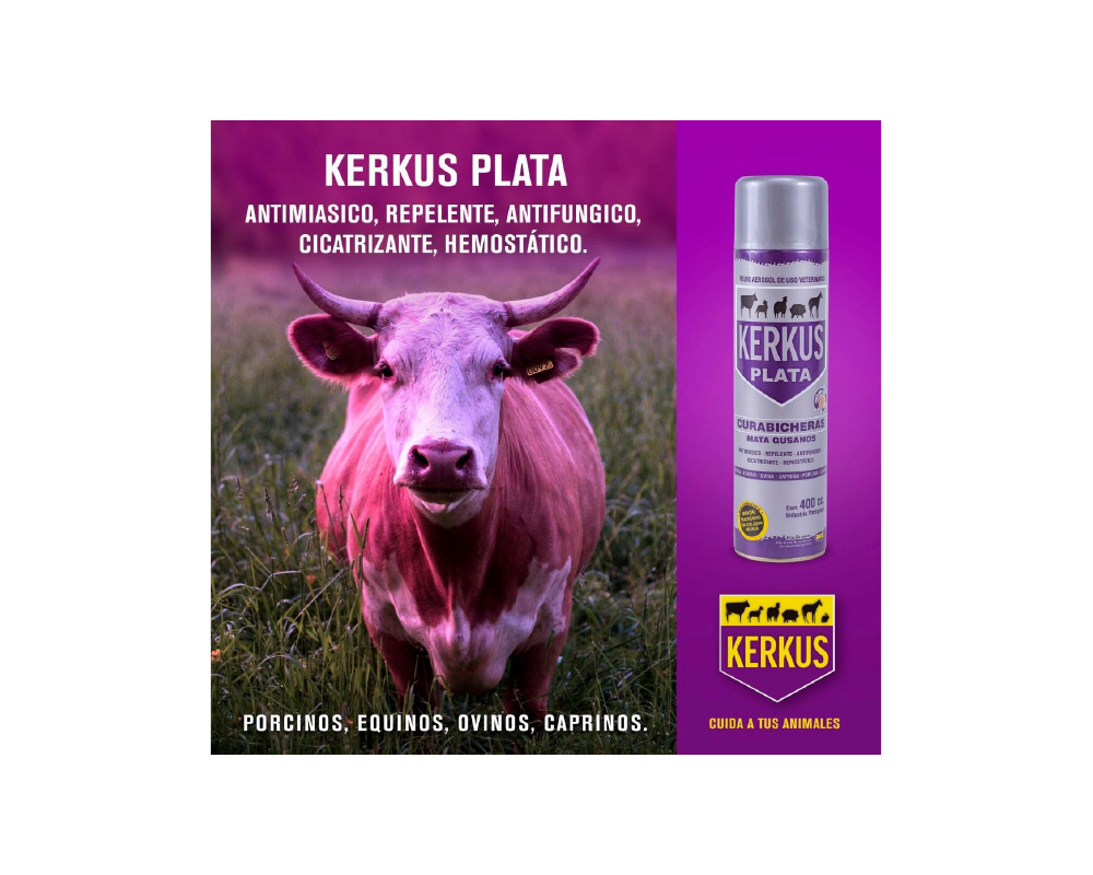 Kerkus Plata