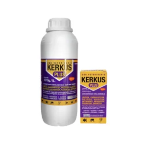 Kerkus Plus
