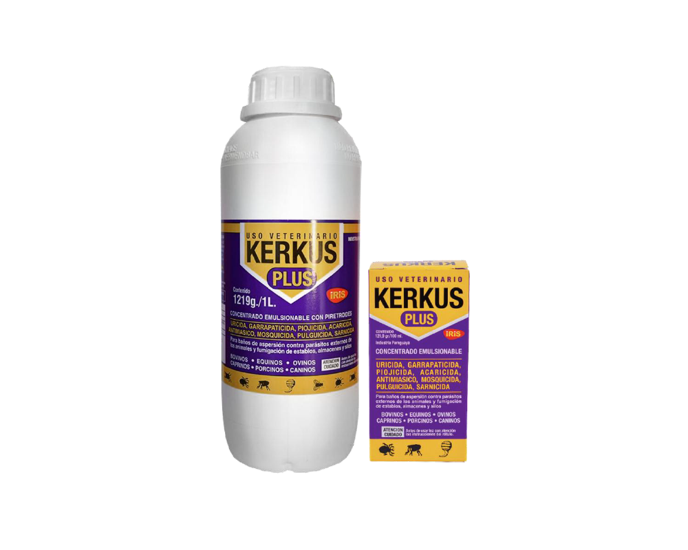 Kerkus Plus