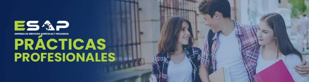 prácticas profesionales