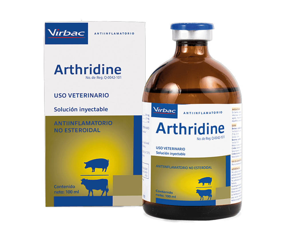 Arthridine
