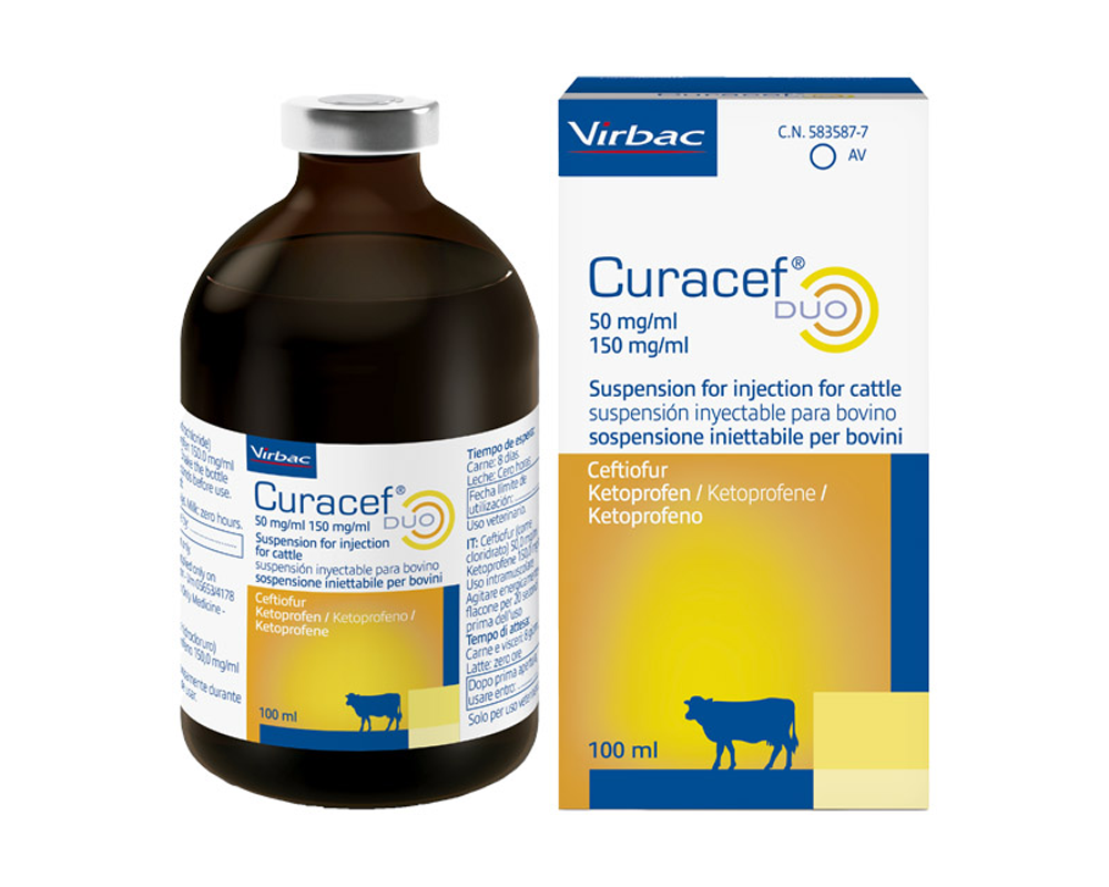 Curacef Duo