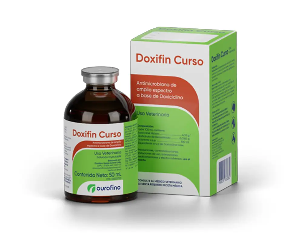 Doxifin Curso