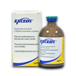 Excede
