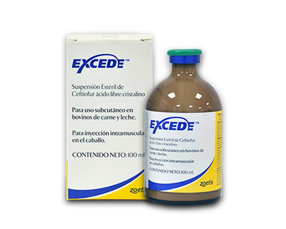 Excede