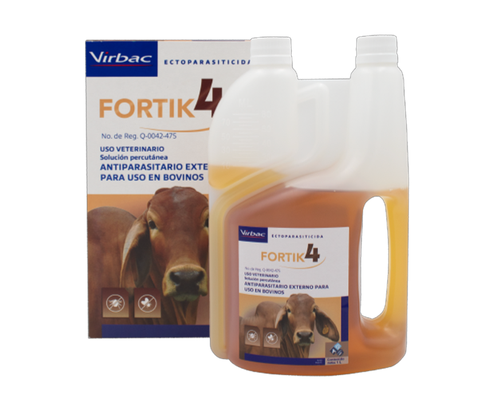 Fortik 4