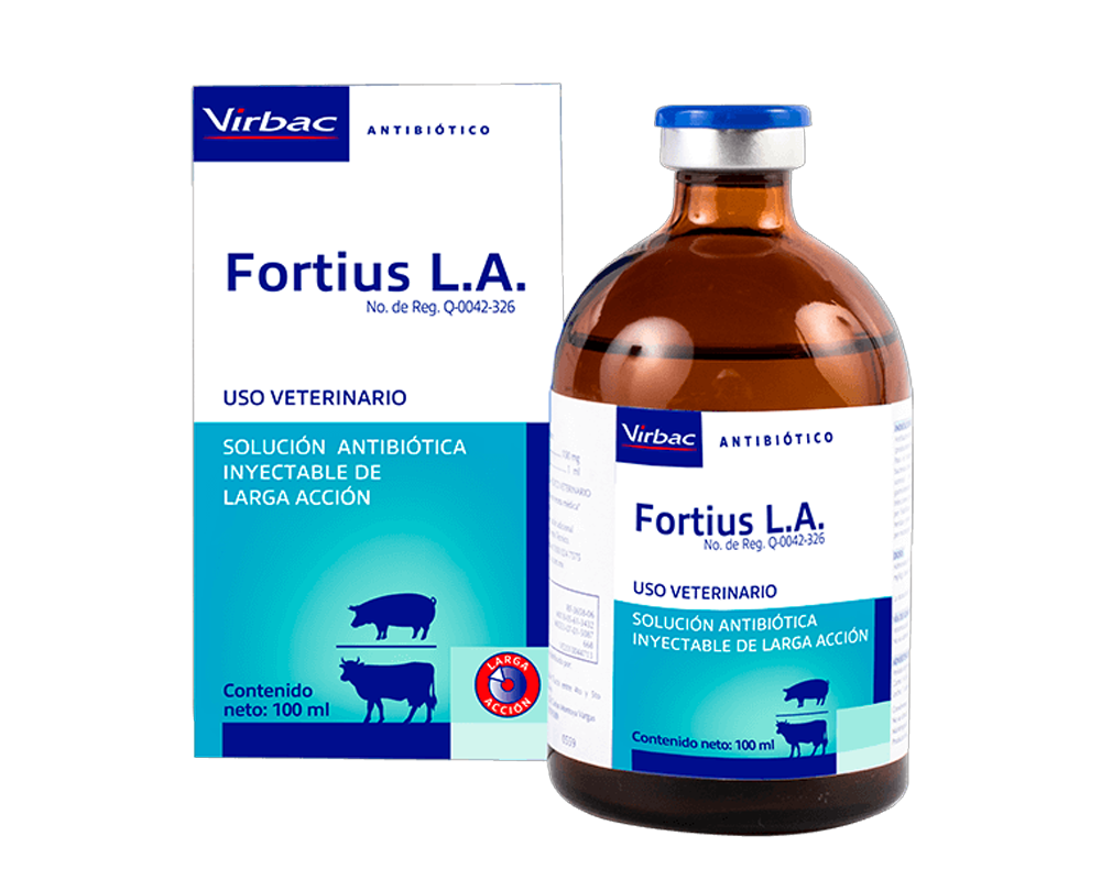 Fortius L.A.