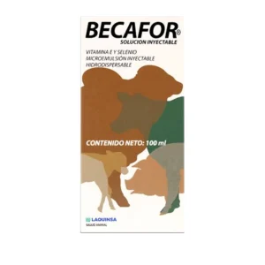 BECAFOR