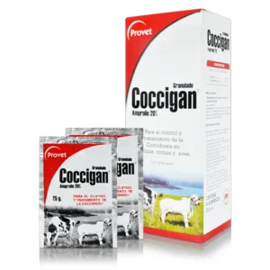 COCCIGAN