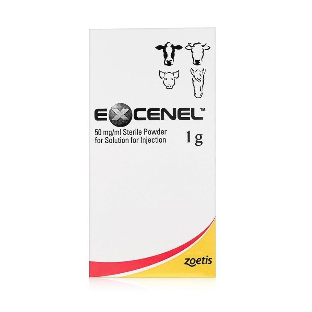 Excenel