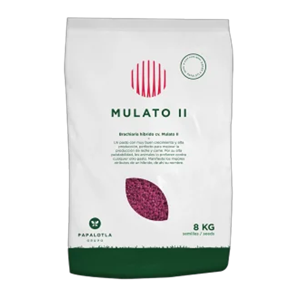 Mulato II